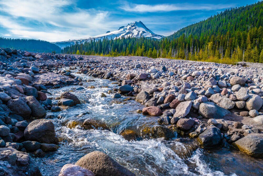 6. Mt. Hood National Forest